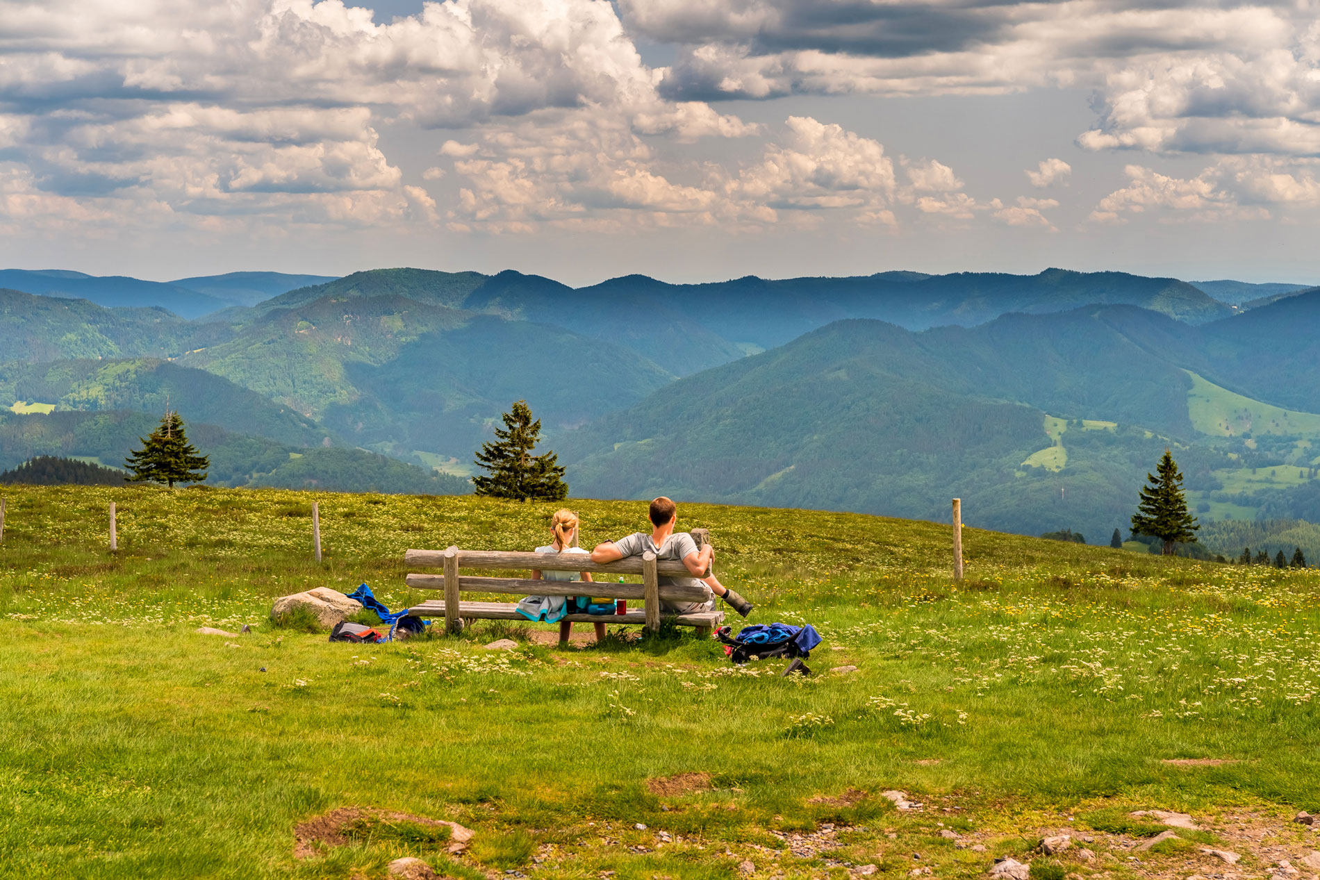 Wandermagazin Das sind "Deutschlands Schönste Wanderwege 2020"